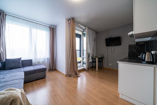 Квартира в аренду в Санкт-Петербурге, Фёдора Котанова ул, 13к1 фото №0