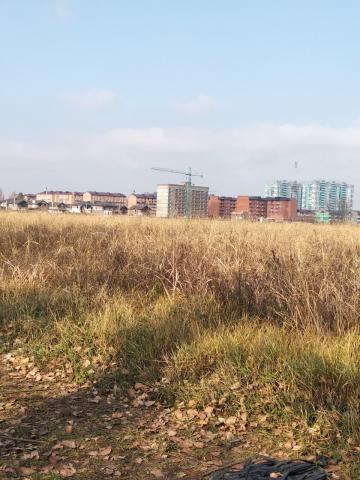 Участок на продажу в садовом товариществе Краснодарсельмаш,  фото №3