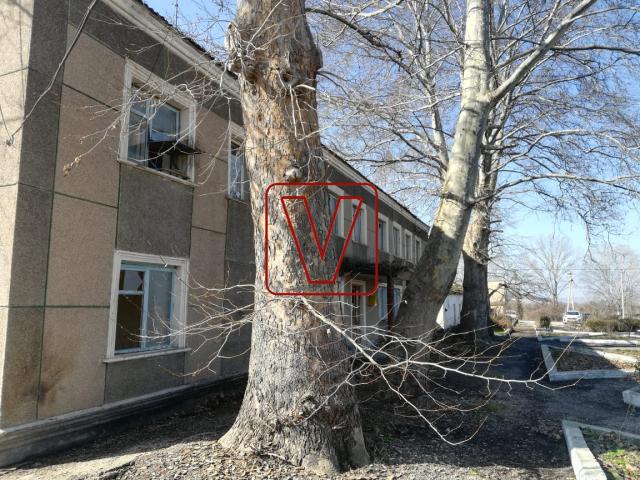 Помещение свободного назначения на продажу в Железнодорожном, Каштановая улица, 15 фото №4