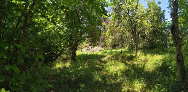 Участок на продажу в Дедерком, с/т Светлячок фото №3