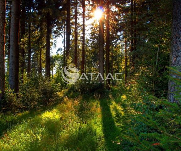 Квартира на продажу в Пензе, улица Кордон Студеный, 47 фото №2