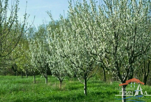Участок на продажу в Анапе, Сукко ул учительская фото №0