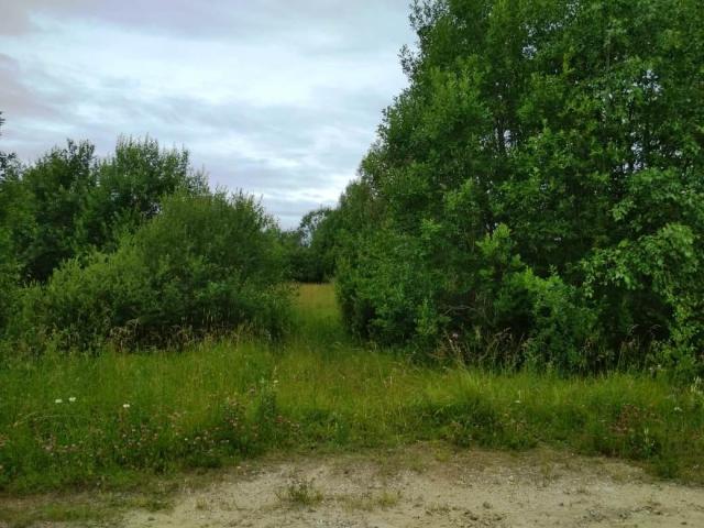 Участок на продажу в Малом Зауломском, , д. 1 фото №5