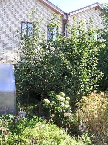 Дом на продажу в Нижнем Новгороде, Большая Окружная ул, 102 фото №3