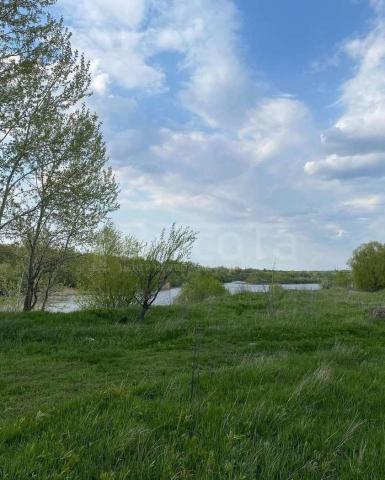 Участок на продажу в Новоживотинном, улица Новосёлов, 85 фото №0