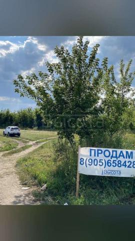 Участок на продажу в Новоживотинном, улица Новосёлов, 85 фото №14