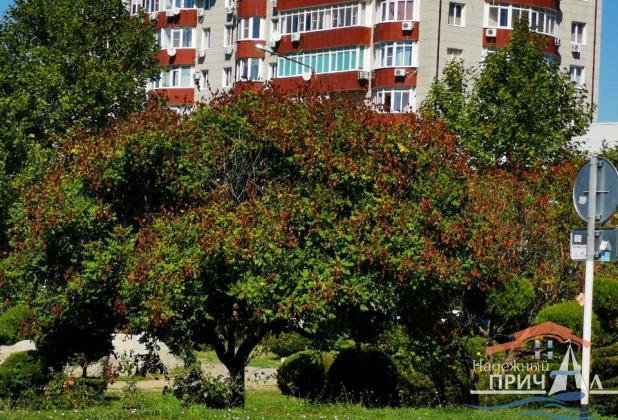 Квартира на продажу в Анапе, ул.Симферопольское шоссе, 1а фото №2