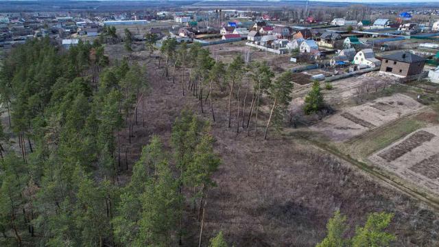 Участок на продажу в Новоживотинном, Шоссейная улица, 69 фото №0