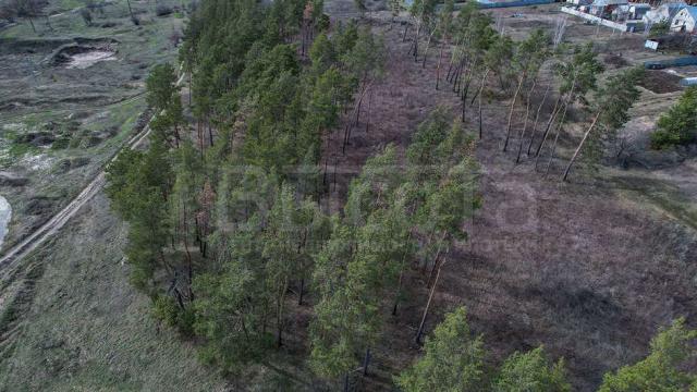 Участок на продажу в Новоживотинном, Шоссейная улица, 69 фото №1