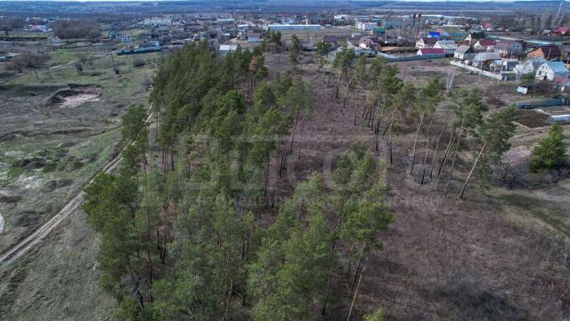 Участок на продажу в Новоживотинном, Шоссейная улица, 69 фото №2