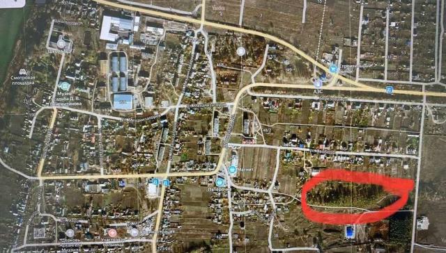 Участок на продажу в Новоживотинном, Шоссейная улица, 69 фото №15