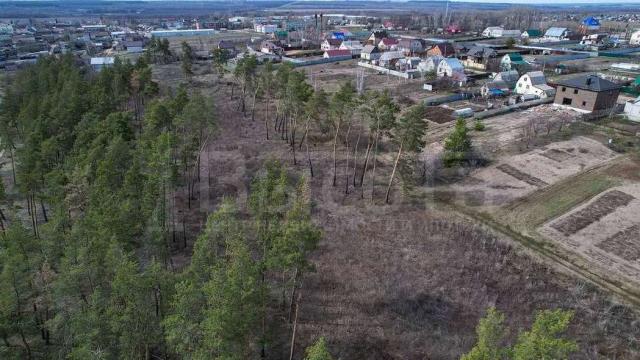 Участок на продажу в Новоживотинном, улица Свободы фото №1