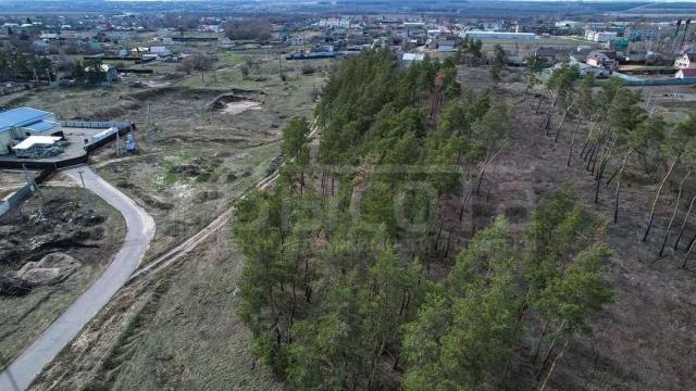 Участок на продажу в Новоживотинном, улица Свободы фото №3