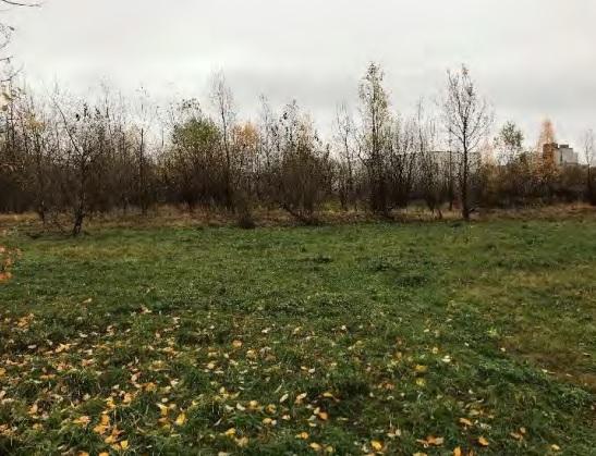 Участок на продажу в Санкт-Петербурге, Мичманская улица фото №2