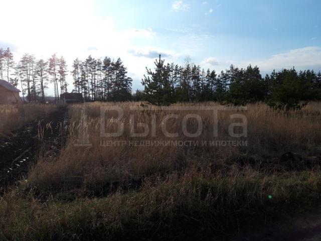 Участок на продажу в Новоживотинном, Дорожная улица фото №9
