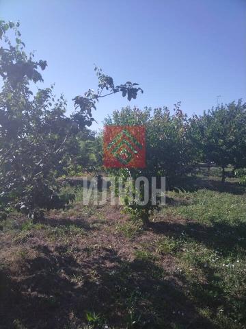 Дом на продажу в Угловом, улица Ленина, 155 фото №16
