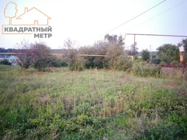 Участок на продажу в Скугареевке, Центральная ул фото №1