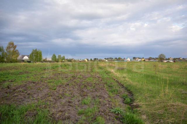 Участок на продажу в Новоживотинном, Восточная улица фото №0