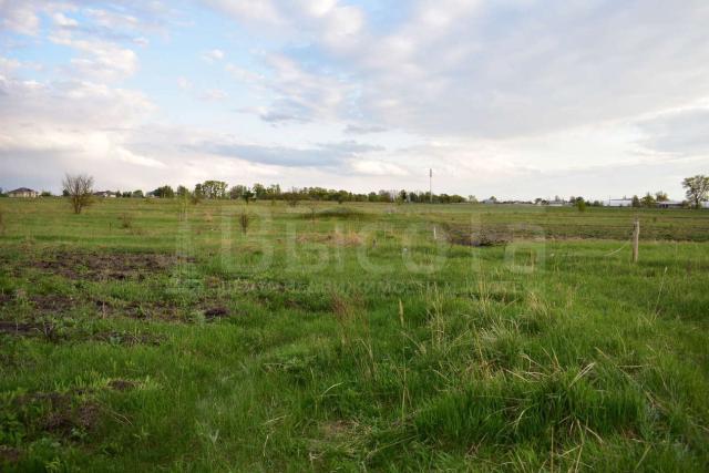 Участок на продажу в Новоживотинном, Восточная улица фото №1