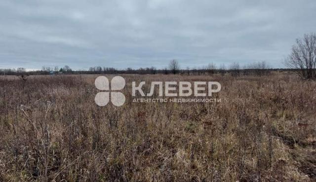 Участок на продажу в Чернушке, Лесная улица фото №0