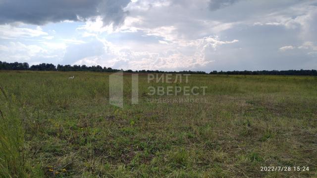 Участок на продажу в Федоровке, Федоровка с. фото №3