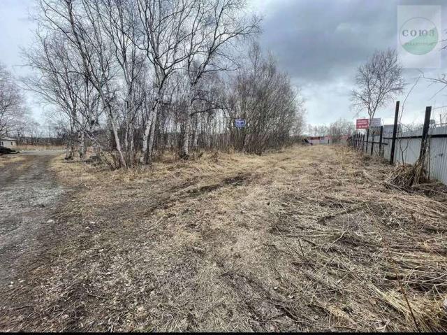 Дом на продажу в Елизово, Набережная ул фото №0