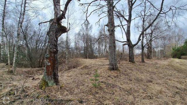 Участок на продажу в Татево, Зубцовская улица фото №0