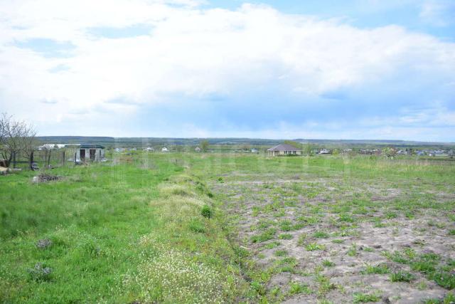 Участок на продажу в Новоживотинном, Донская улица, 14 фото №1