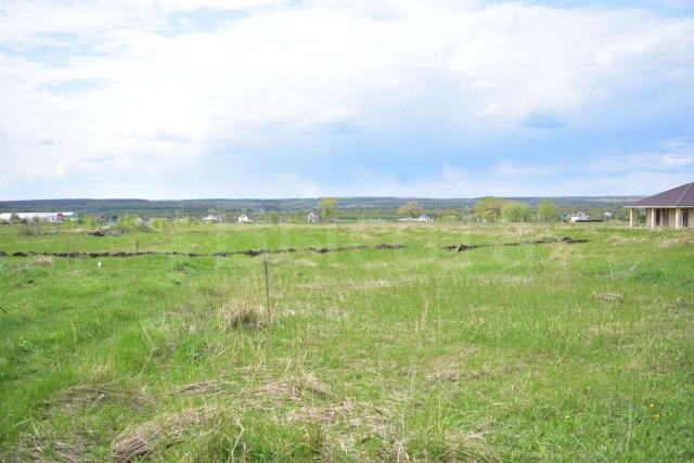 Участок на продажу в Новоживотинном, Донская улица, 15 фото №0
