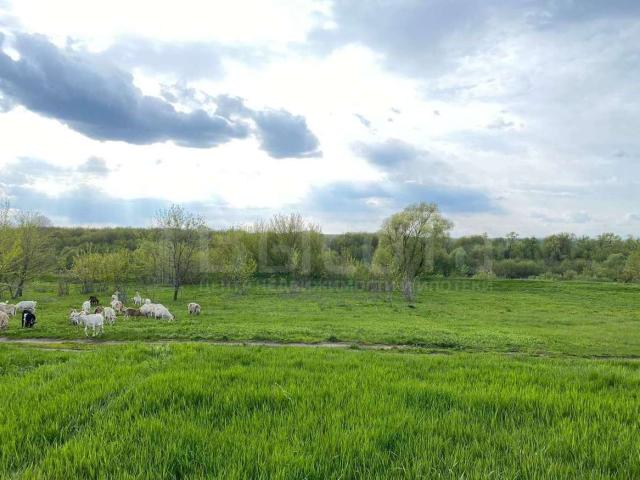 Участок на продажу в Новоживотинном, улица Новосёлов, 80 фото №2