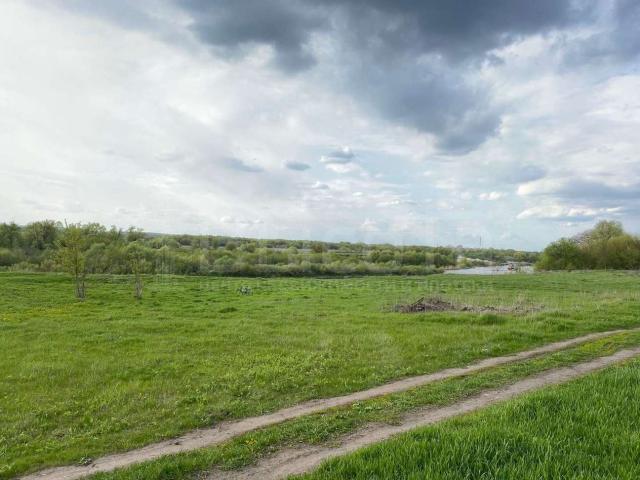 Участок на продажу в Новоживотинном, улица Новосёлов, 80 фото №3