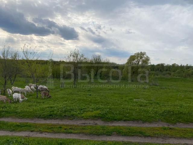 Участок на продажу в Новоживотинном, улица Новосёлов, 80 фото №11