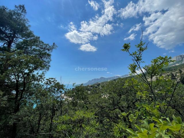 Участок на продажу в Береговом, улица Кипарисная фото №0