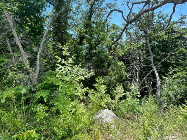 Участок на продажу в Береговом, улица Кипарисная фото №3