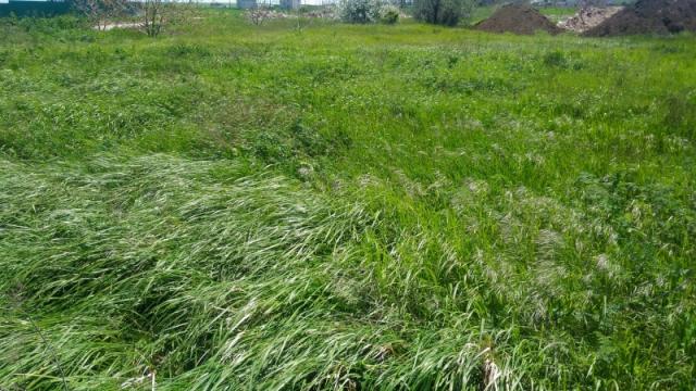 Участок на продажу в Кучугуре, Жемчужная ул. фото №3