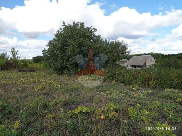 Участок на продажу в Строителе, Белгородская улица фото №2