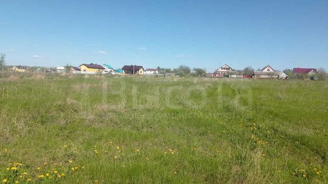 Участок на продажу в Новоживотинном, Донская улица, 20 фото №0