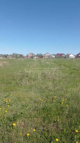 Участок на продажу в Новоживотинном, Донская улица, 20 фото №3