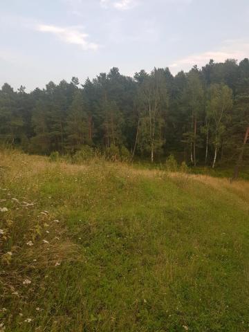 Участок на продажу в Большой Речке, улица Матросова, 3 фото №0