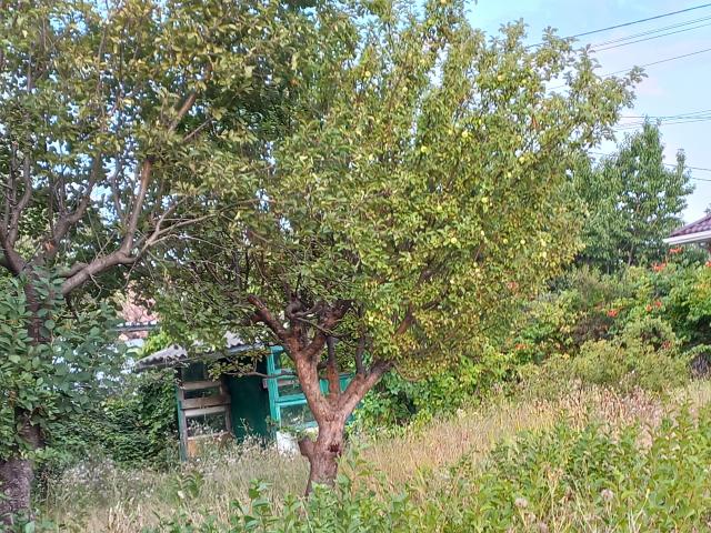 Участок на продажу в Ростове-на-Дону фото №1