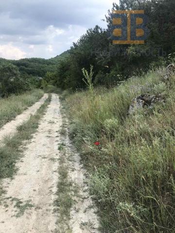 Участок на продажу в селе Верхнесадовое, СТ Водоканал-3 тер фото №6