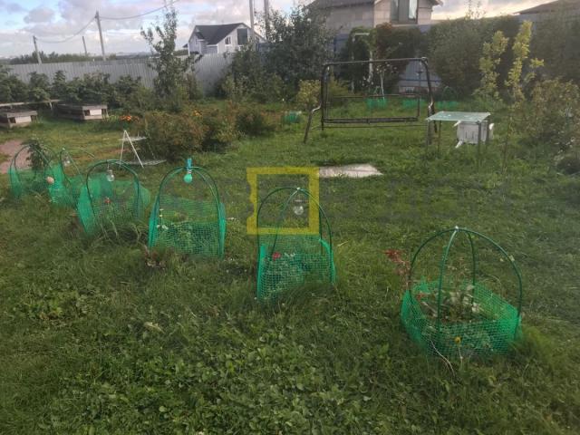 Дом на продажу в Санкт-Петербурге, Энергия тер. СНТ, 23 фото №9