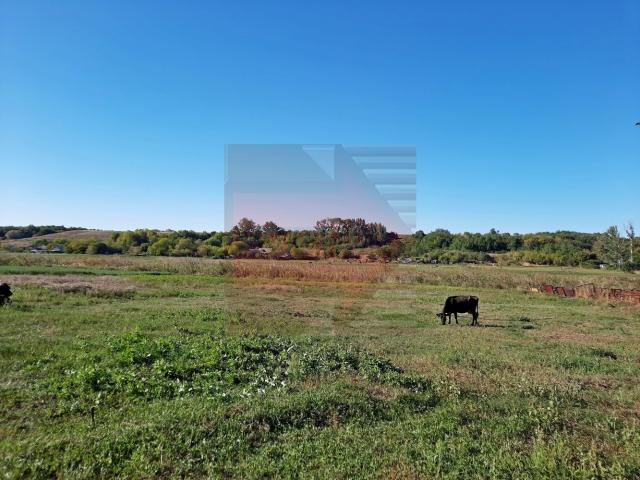 Дом на продажу в Каменно-Андрианово, Центральная улица, 30 фото №16