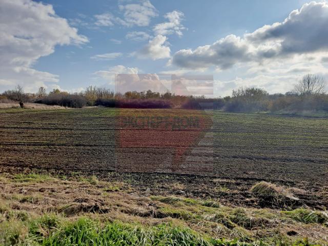 Дом на продажу в Каменно-Андрианово, Центральная улица, 120 фото №15