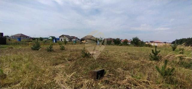 Дом на продажу в Озерках, Школьная улица, 6 фото №8