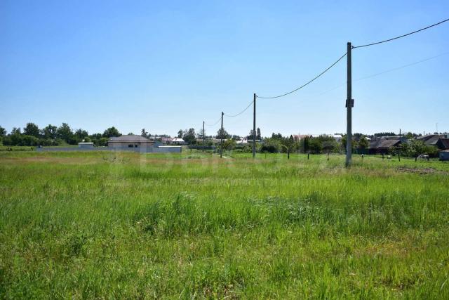 Участок на продажу в Новоживотинном, улица 40 лет Победы фото №1