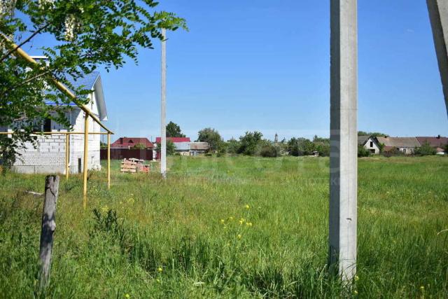 Участок на продажу в Новоживотинном, улица 40 лет Победы фото №3