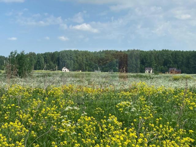 Участок на продажу в Красной Мызе, Красная Мыза д фото №2