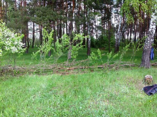 Дом с участком на продажу в Беленьком, улица Залужанская фото №2