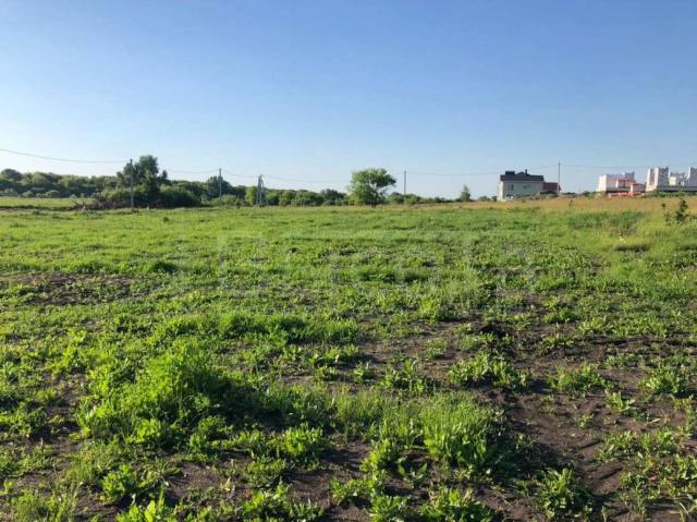Участок на продажу в Новоживотинном, улица Новосёлов, 121 фото №3